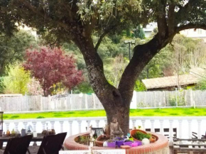 Lovely home nearby Madrid to enjoy nature